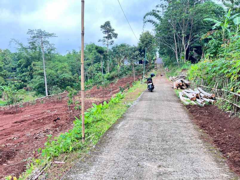 kebun buah 2627m view hamparan sawah karanganyar