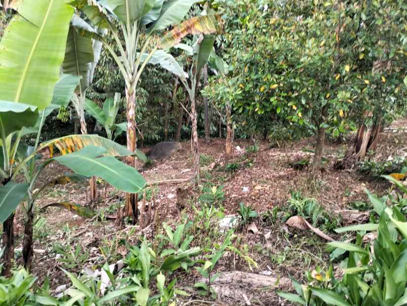 lokasi murah di gn geulis bogor