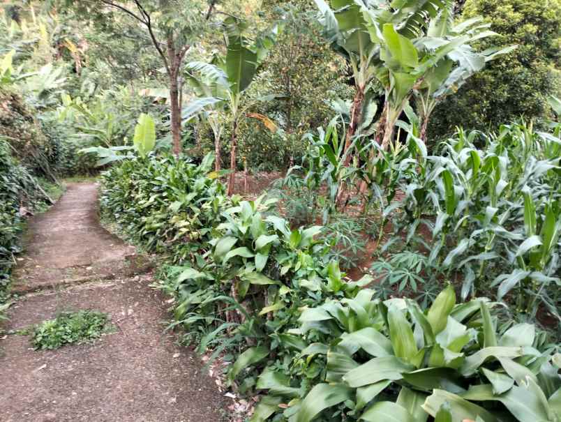 lokasi murah di gn geulis bogor