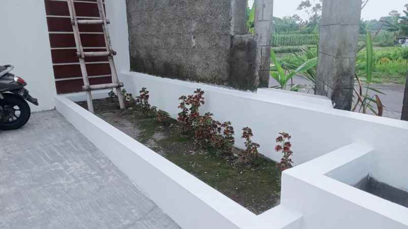 promo rumah murah nyaman harga bersahabat di prambanan
