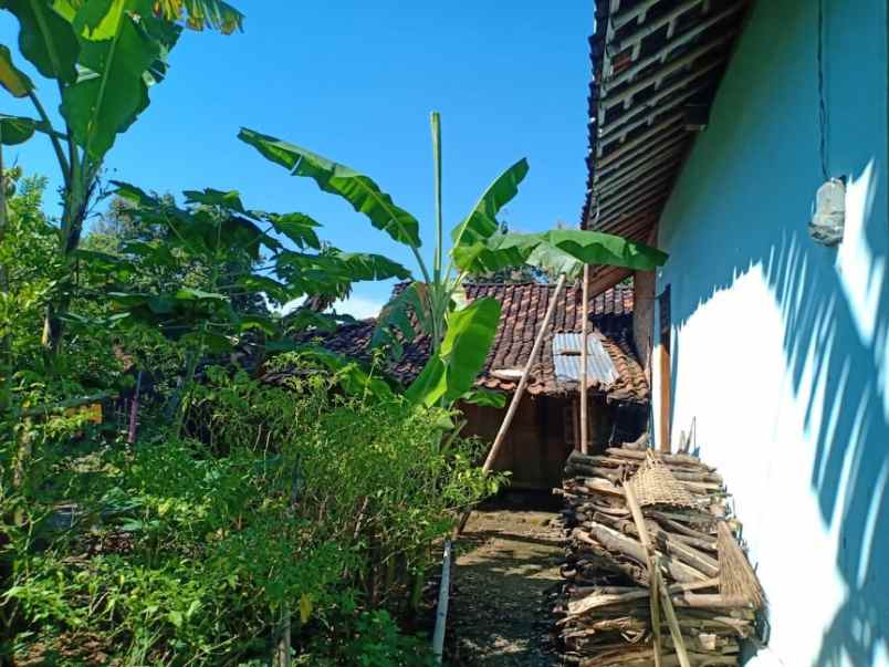 rumah kerjo karanganyar telp wa