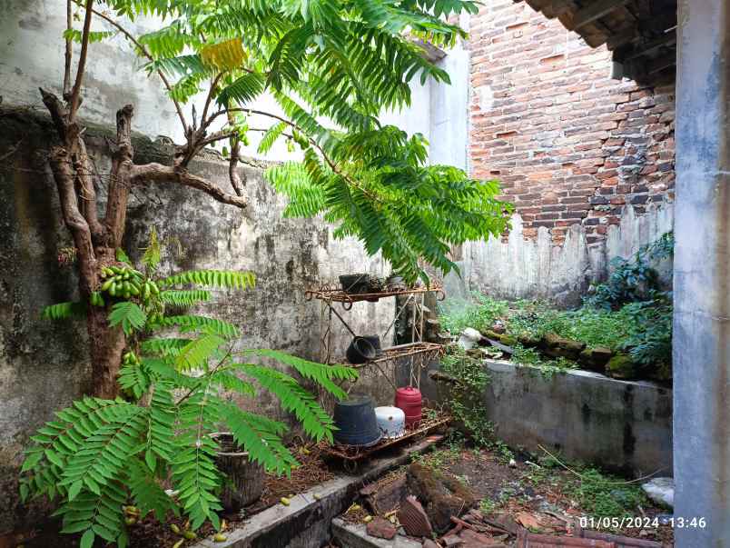 rumah murah di pahoman bandar lampung