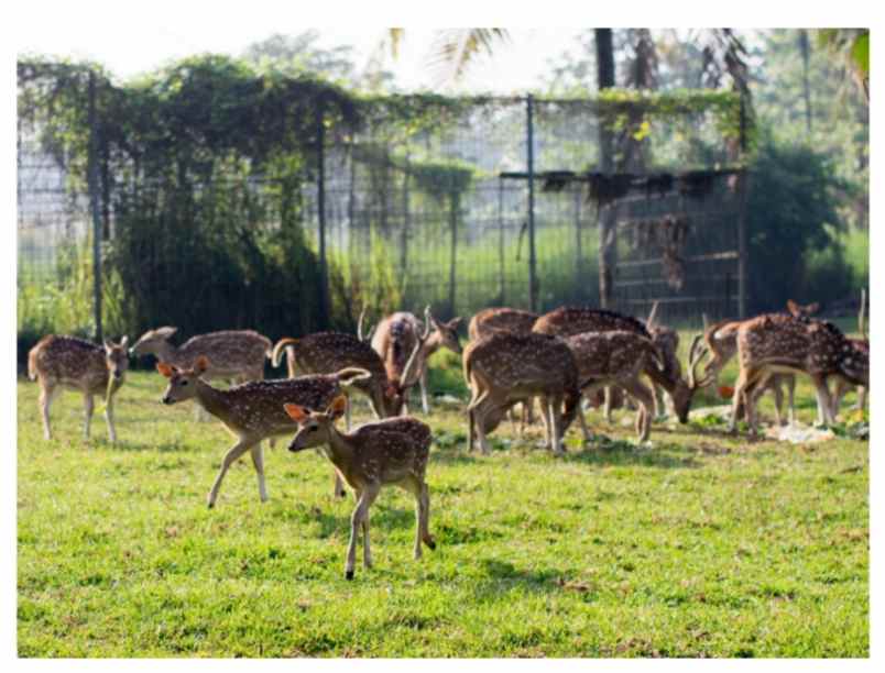 rumah talaga bestari