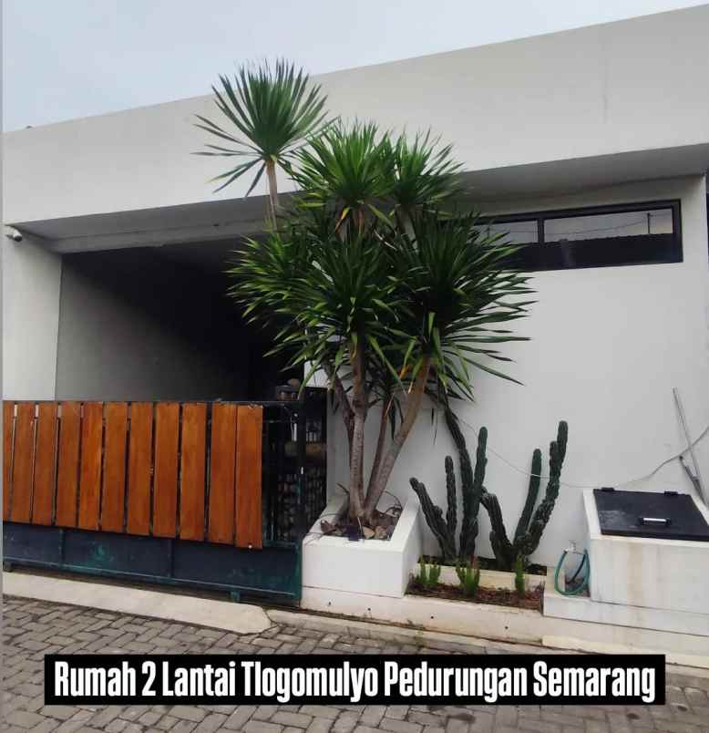 rumah tlogomulyo pedurungan semarang
