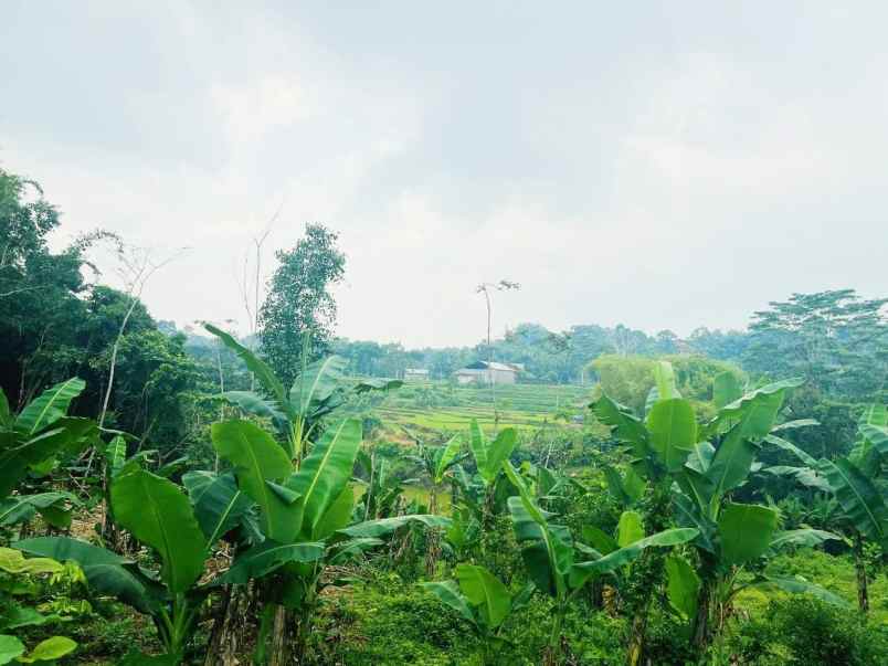 tanah 1723m cocok untuk kebun karanganyar