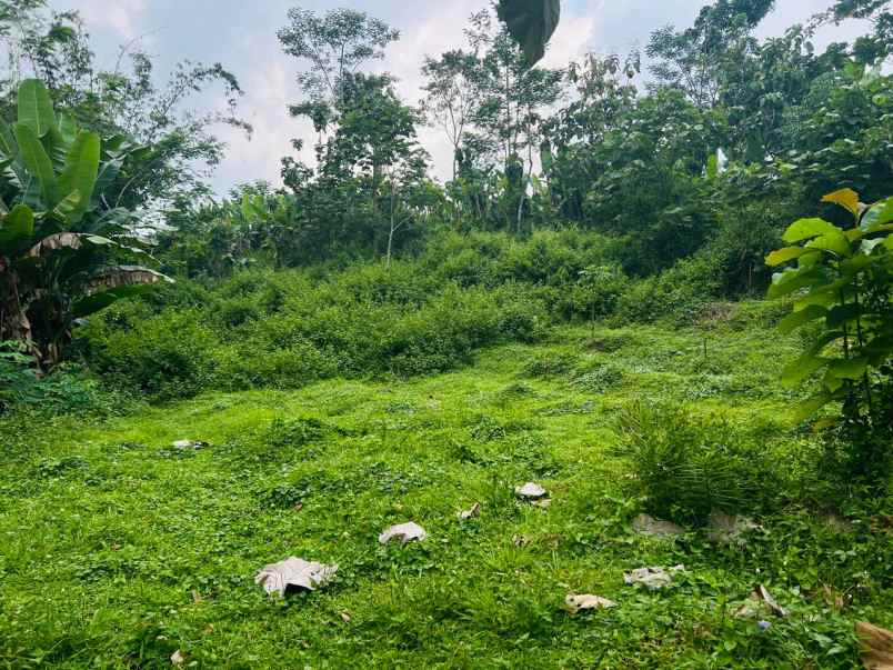 tanah 1723m cocok untuk kebun karanganyar