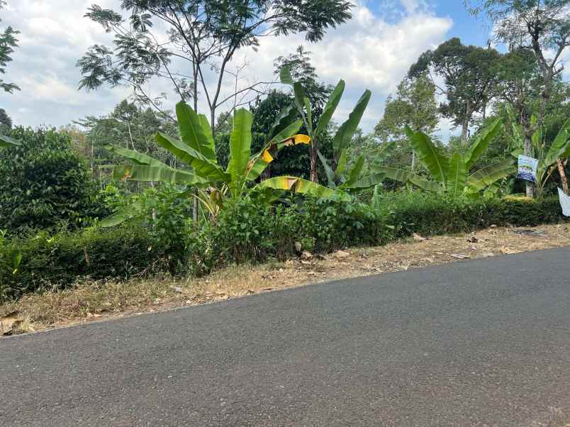 tanah 2200m hanya 400 juta selatan pasar mojogedang