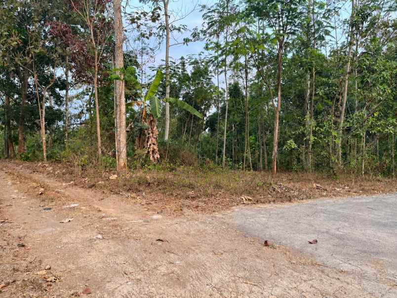 tanah 250rb m utara pasar matesih karanganyar