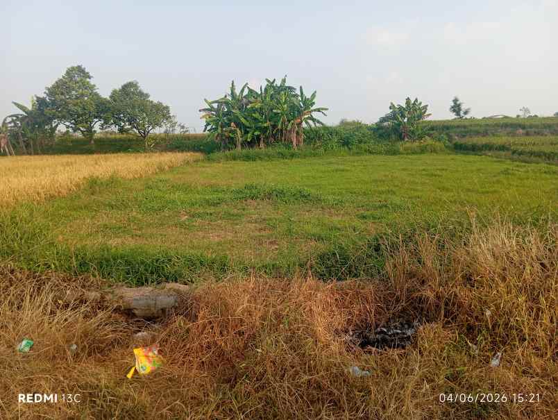 tanah 3300m2 muka 20 meter dekat wisata janti klaten