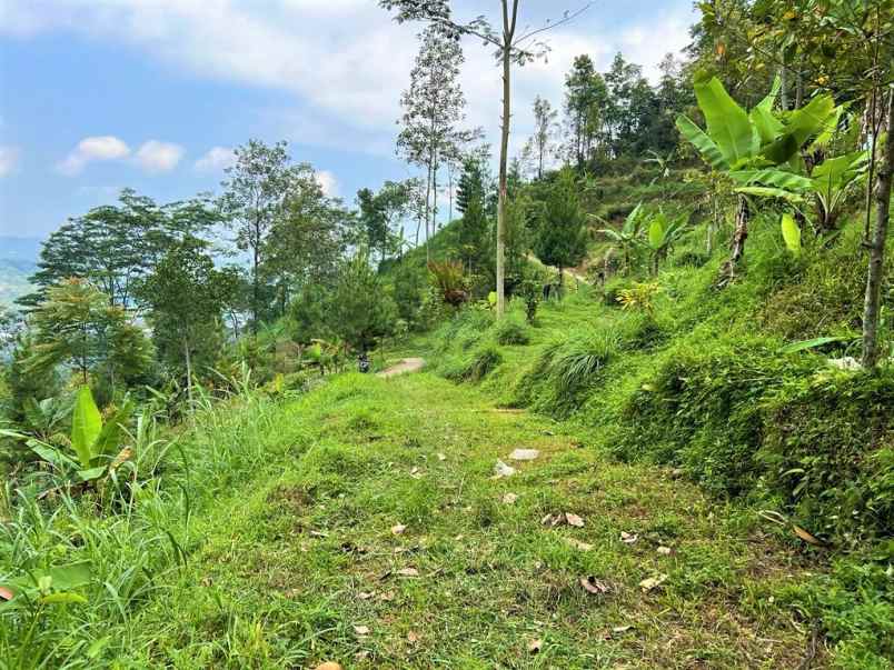 tanah 350jt dekat wisata jembatan kaca kemuning