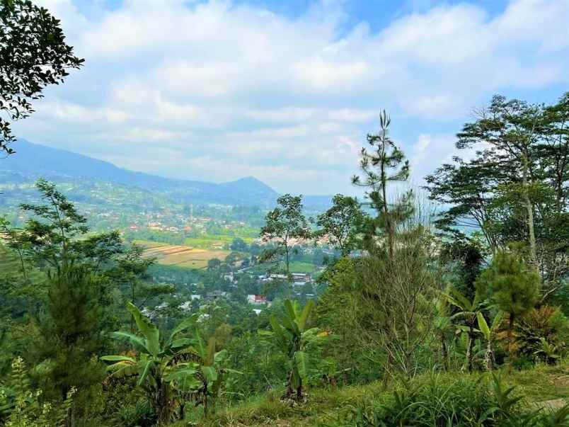 tanah 350jt dekat wisata jembatan kaca kemuning
