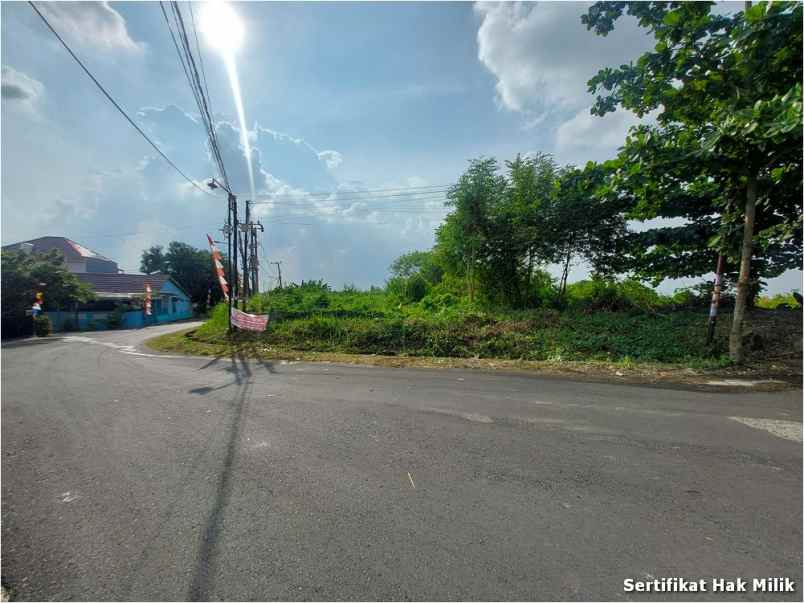 tanah alang alang lebar shm dekat spring hill