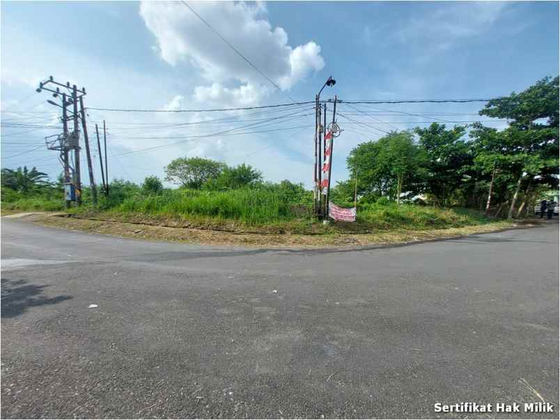 tanah alang alang lebar shm dekat spring hill