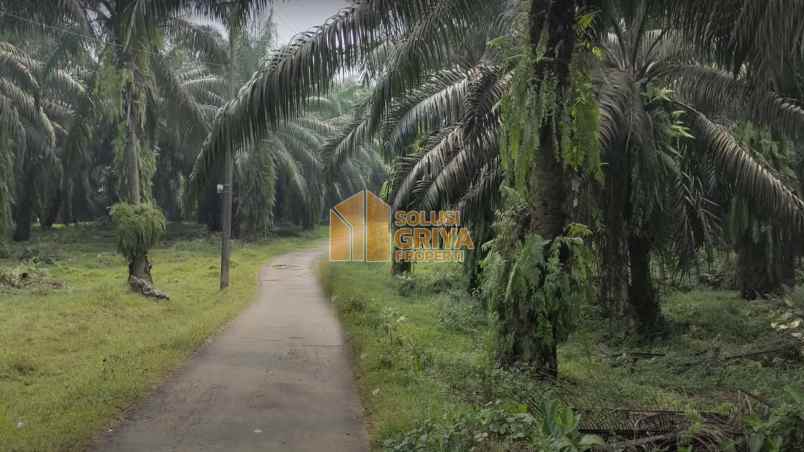 tanah argapura cigudeg kab bogor