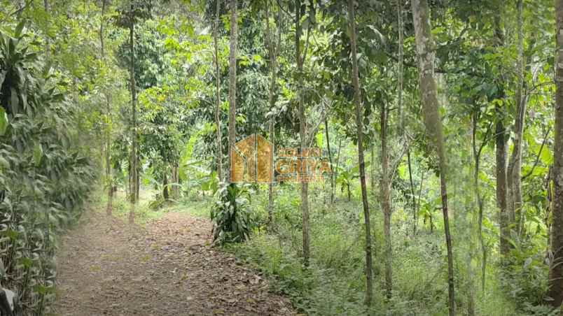 tanah argapura cigudeg kab bogor