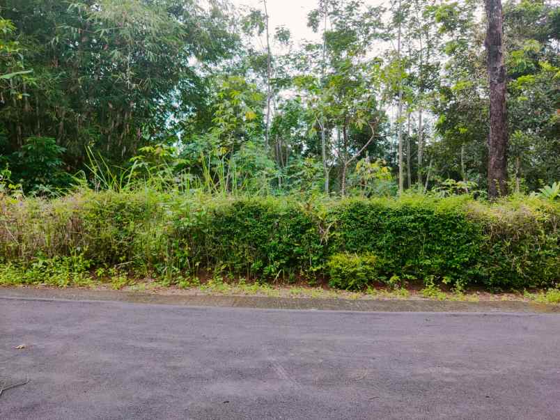 tanah barat pasar karangpandan