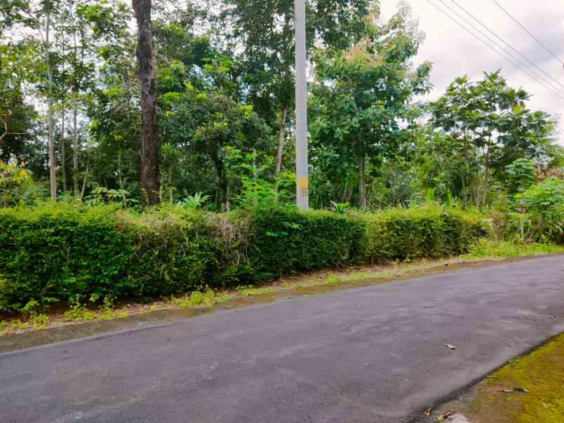 tanah barat pasar karangpandan