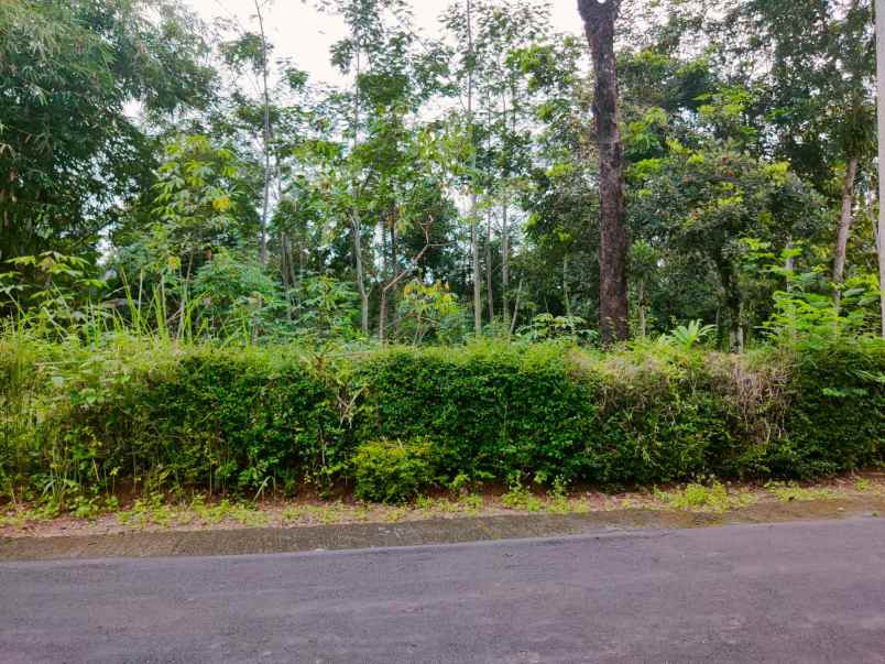 tanah barat pasar karangpandan