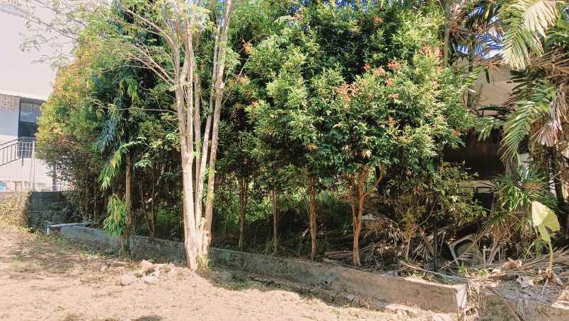 tanah bulusan belakang polsek tembalang ring 1 undip