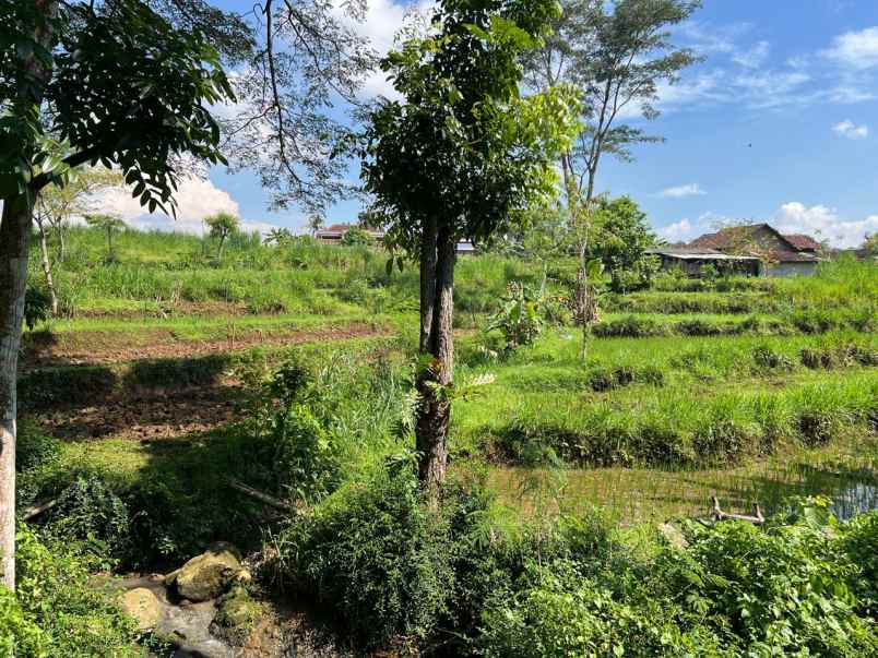 tanah datar 1646m2 350 juta mojogedang karanganyar