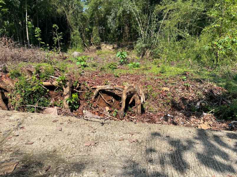 tanah datar 1646m2 350 juta mojogedang karanganyar