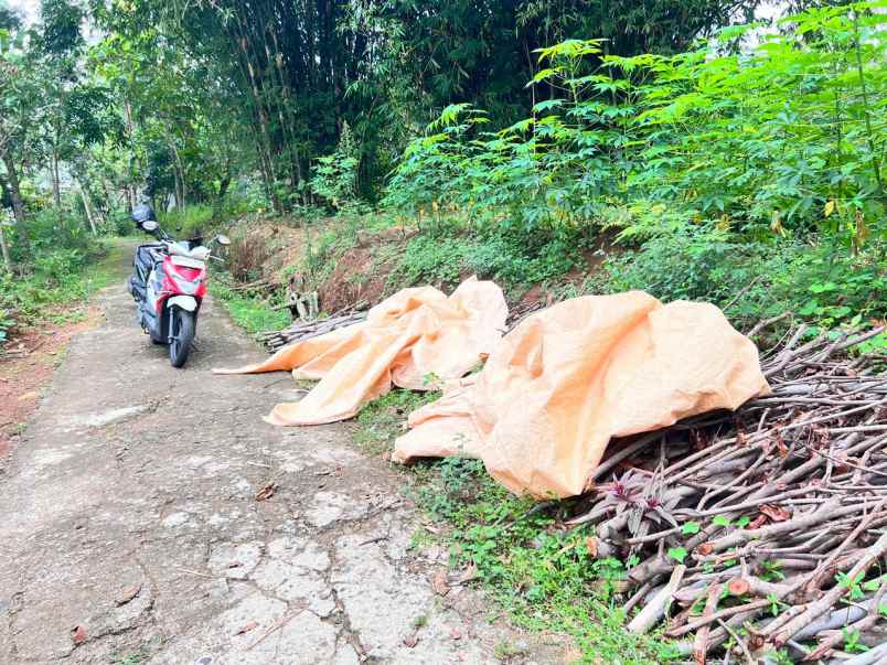 tanah datar 888m 280jt mojogedang karanganyar