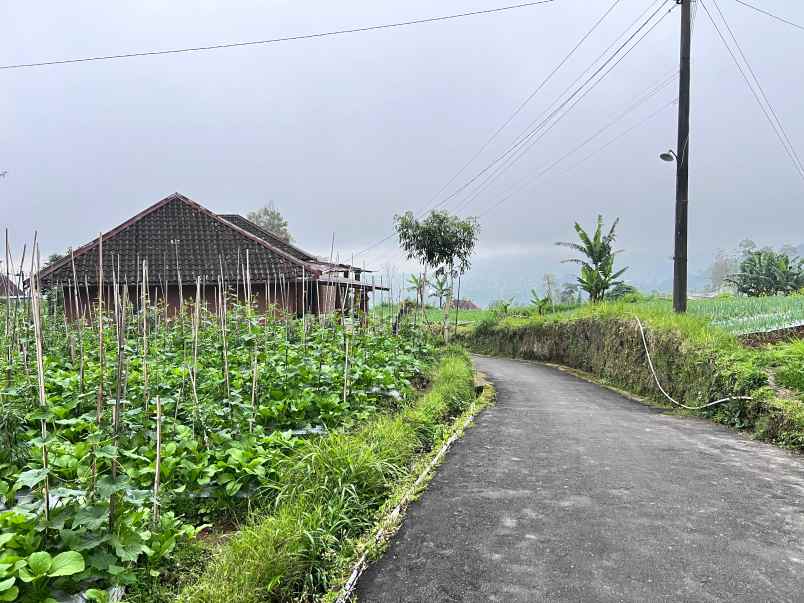 tanah datar 913m kawasan wisata kemuning karanganyar