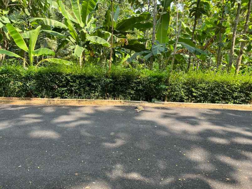 tanah datar bonus kebun jati kerjo karanganyar