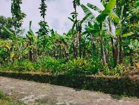 tanah dekat pasar plangsalam