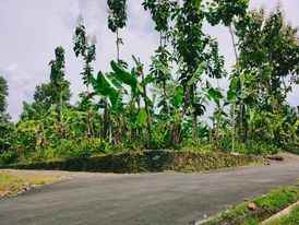 tanah dekat pasar plangsalam