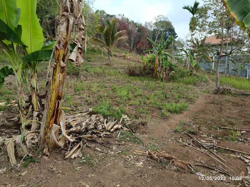 tanah di kemiling luas 357m shm siap bangun