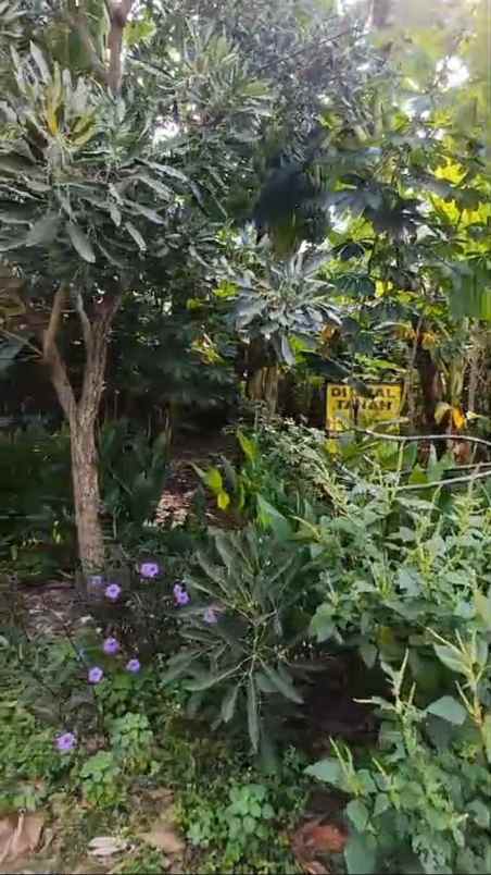 tanah gayung kebonsari siap bangun