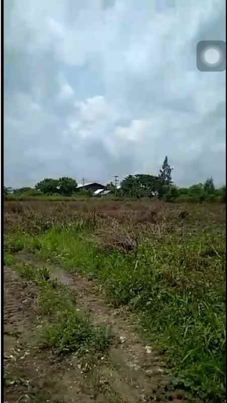 tanah industri kec widang tuban nol jalan raya dnd