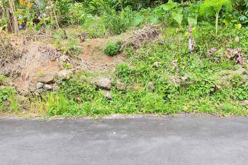 tanah investasi 400m2 karangpandan karanganyar