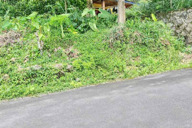 tanah investasi 400m2 karangpandan karanganyar