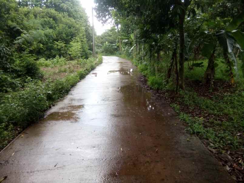 tanah jalan raya cikaregaman