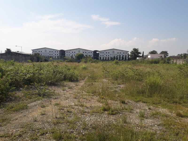 tanah jalan raya gresik babat