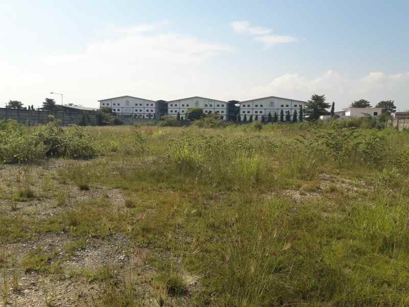 tanah jalan raya gresik babat