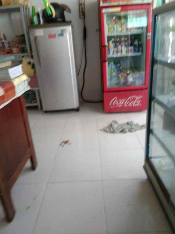 tanah jln putri gading cempaka