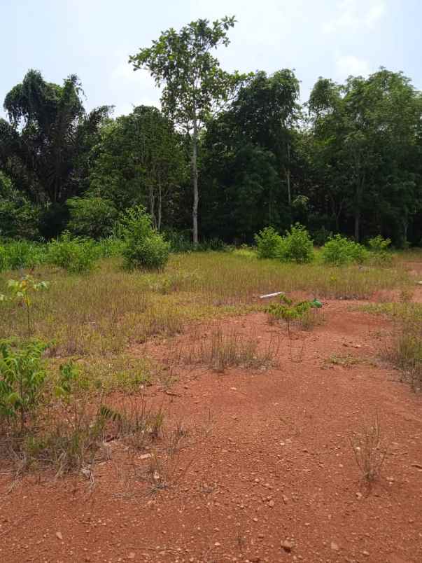 tanah kapling di gedung harapan jatiagung