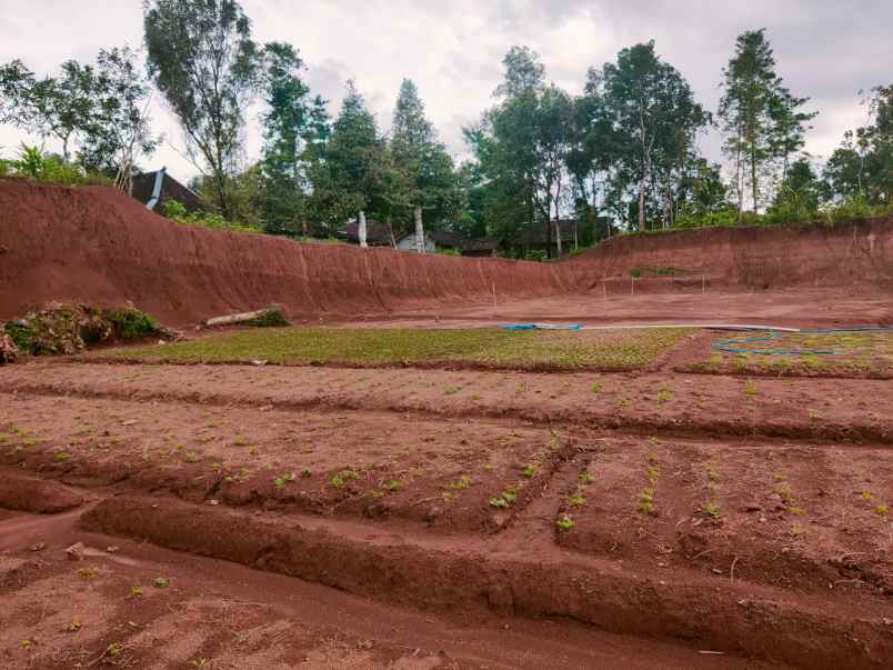 tanah karangpandan karanganyar