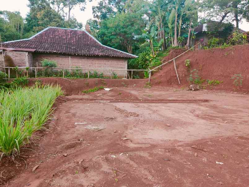 tanah karangpandan karanganyar