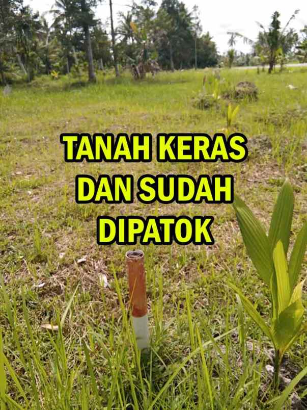 tanah kavling murah dekat pontianak