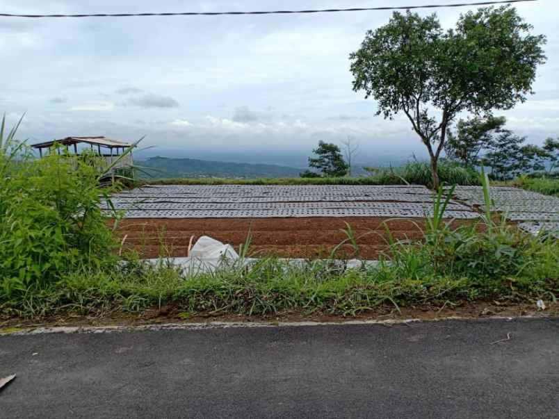 tanah kawasan wisata alam