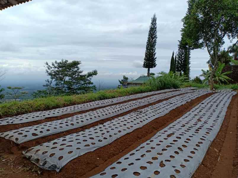 tanah kawasan wisata alam
