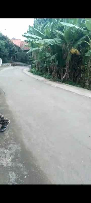 tanah kebun strategis rata dan padat