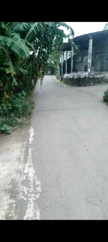 tanah kebun strategis rata dan padat