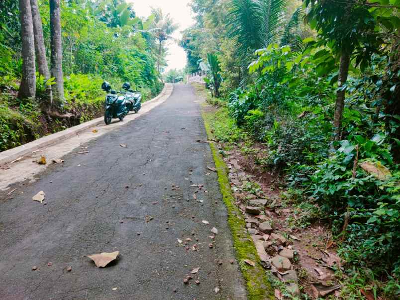 tanah mojogedang karanganyar