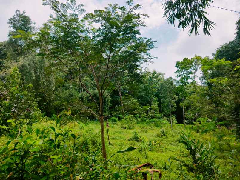 tanah mojogedang karanganyar