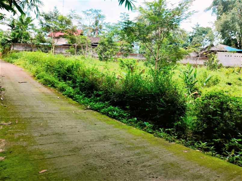 tanah mojogedang karanganyar